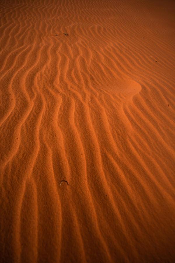 Hotel Stars Life Camp-Tour Wadi Rum Zewnętrze zdjęcie